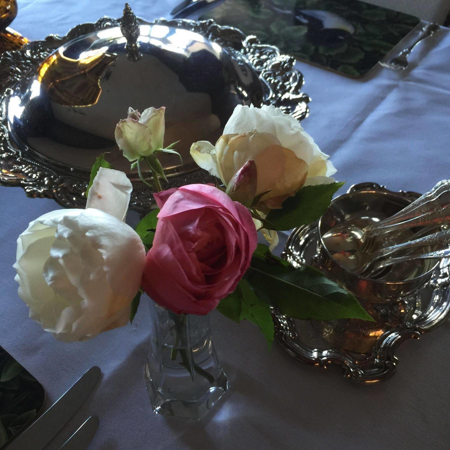 The Flying Trout Boutique Lodge Taupo Bagian luar foto