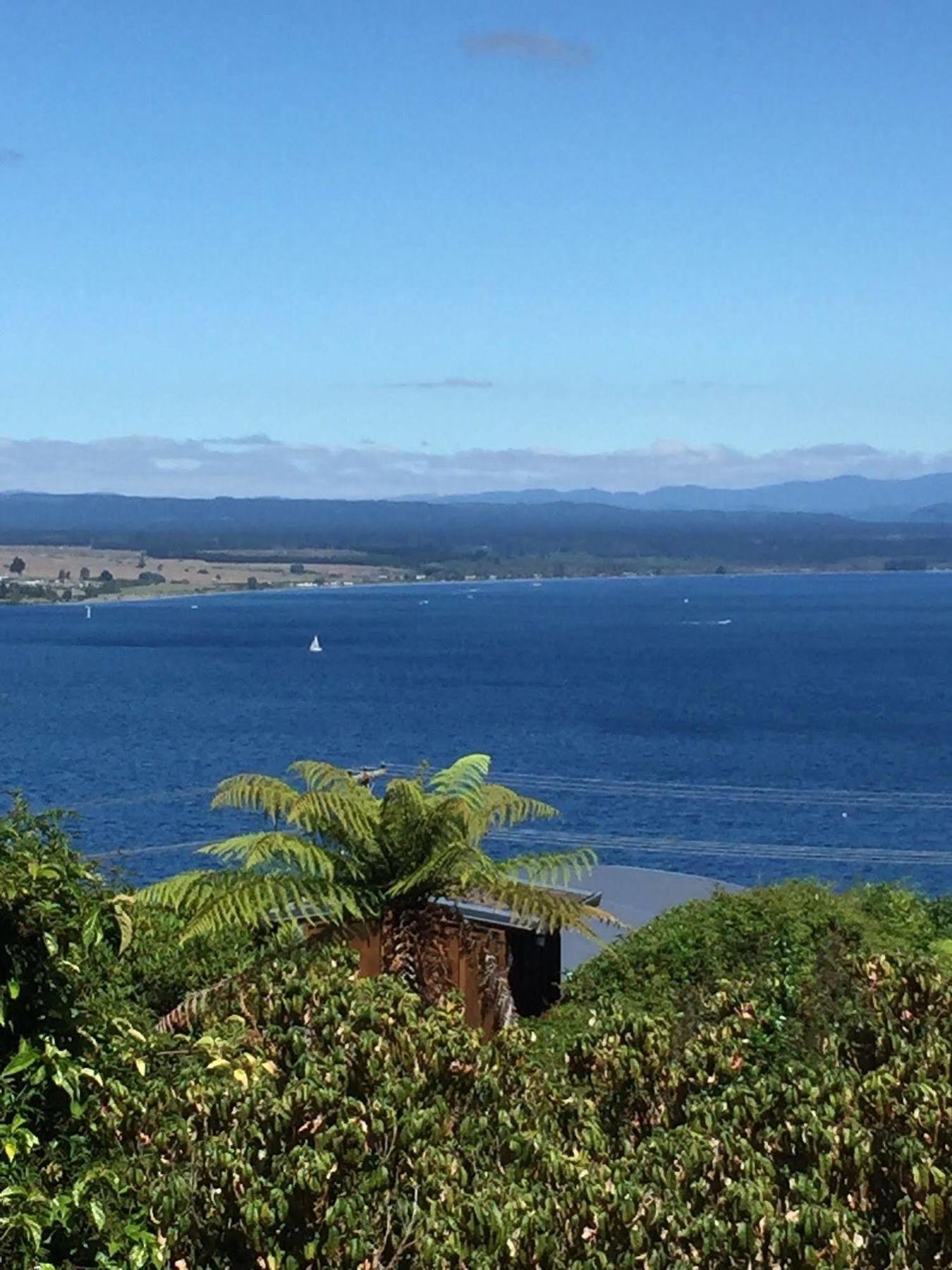 The Flying Trout Boutique Lodge Taupo Bagian luar foto