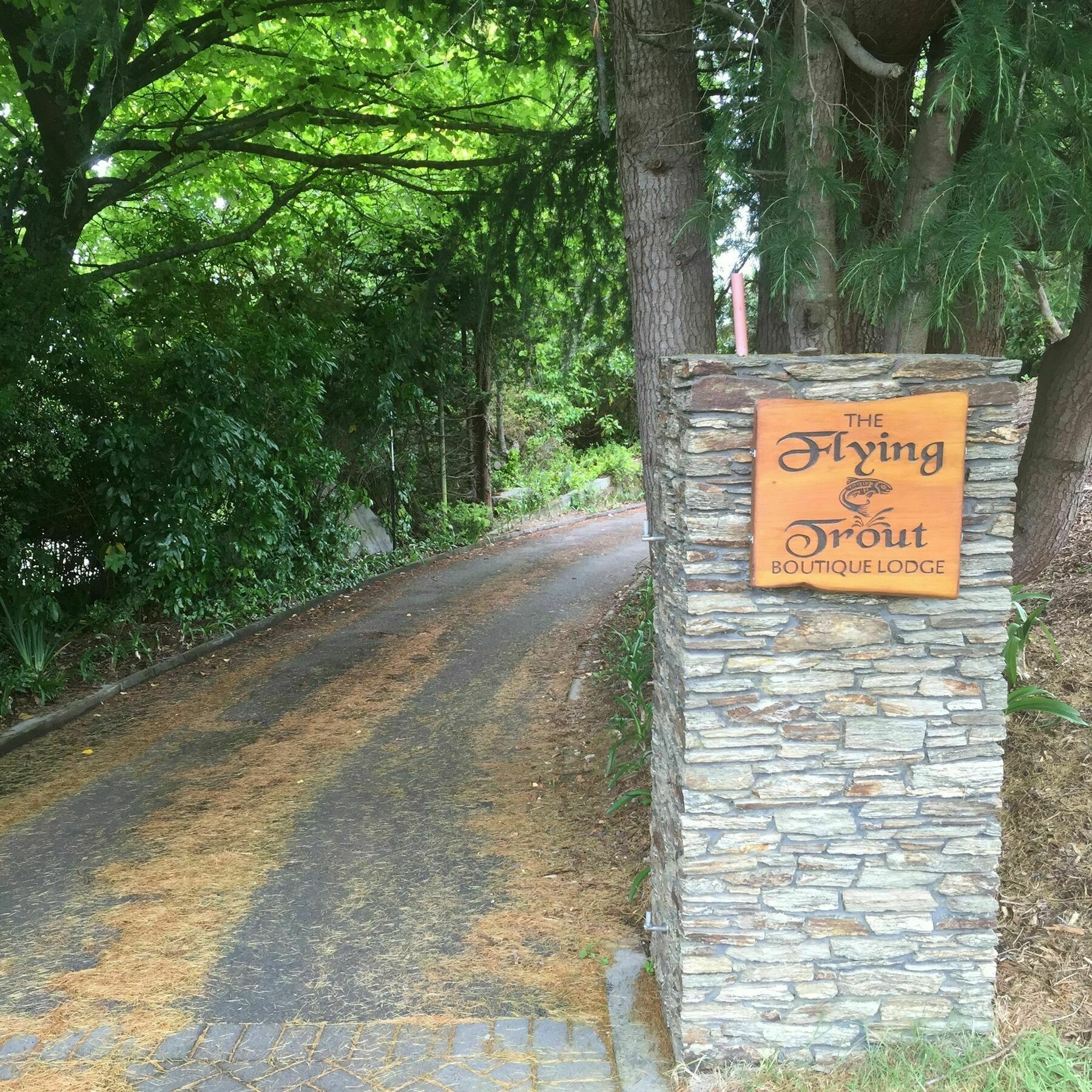 The Flying Trout Boutique Lodge Taupo Bagian luar foto